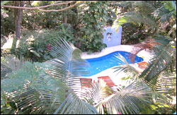 Nosara Paradise Rentals