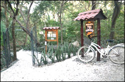 Nosara Paradise Rentals