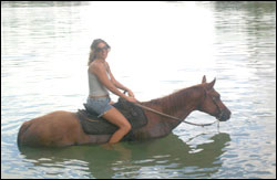 Nosara Paradise Rentals