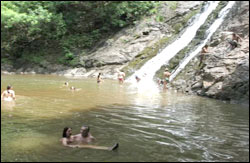 Nosara Paradise Rentals