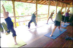 Nosara Paradise Rentals